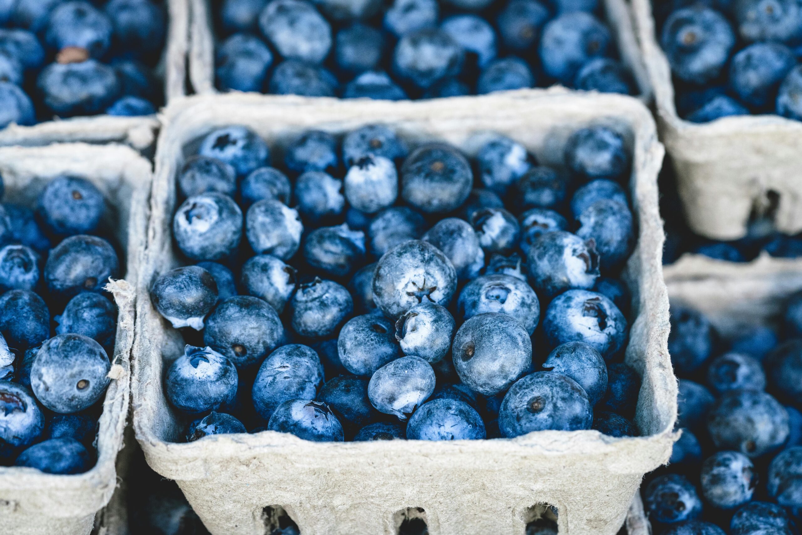 Blaubeerfrucht Auf Grauem Behälter