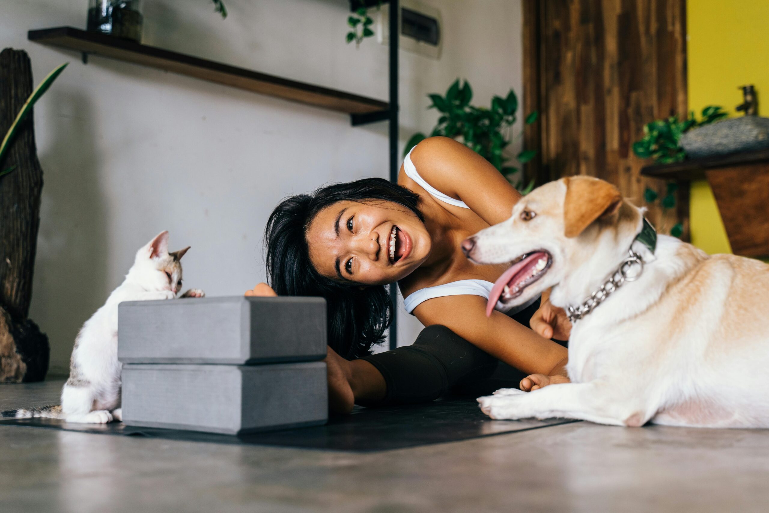Yoga Mit Flauschigen Freunden